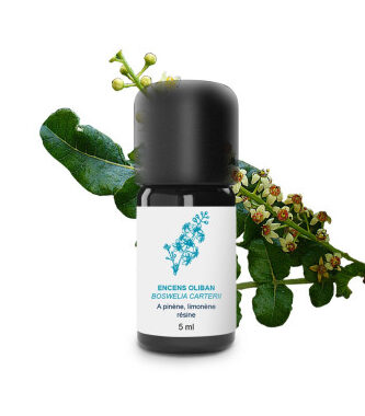 Huile essentielle d&rsquo;encens : comment l&rsquo;utiliser pour vos bienfaits ?