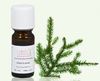 Huile essentielle épinette noire utilisation : Guide Pratique et Efficace