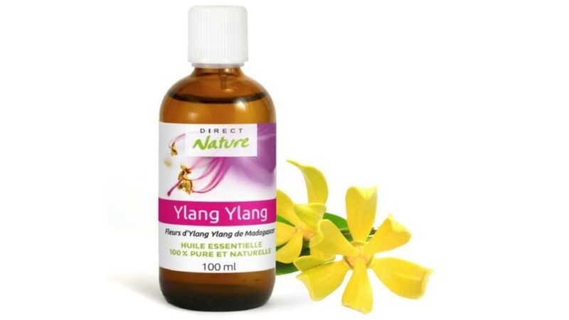 Huile essentielle ylang ylang utilisation : Guide pratique et bénéfices