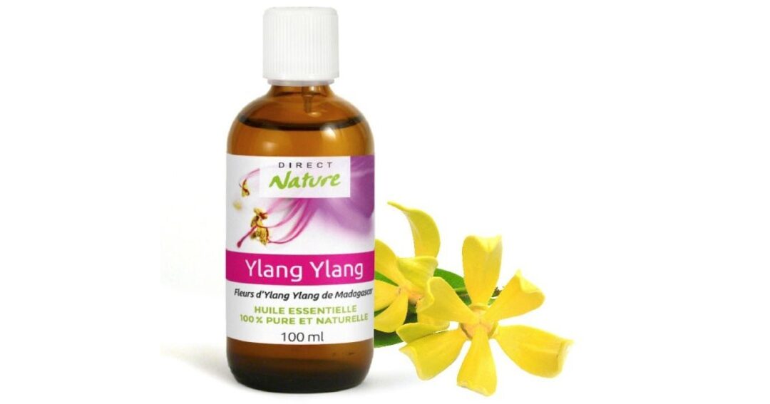 Huile essentielle ylang ylang utilisation : Guide pratique et bénéfices