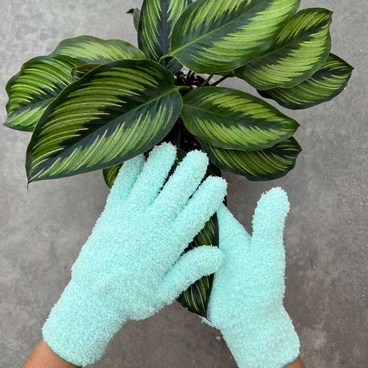 Lechuza-Pon Utilisation : Maximisez vos Plantes Vertes Maintenant