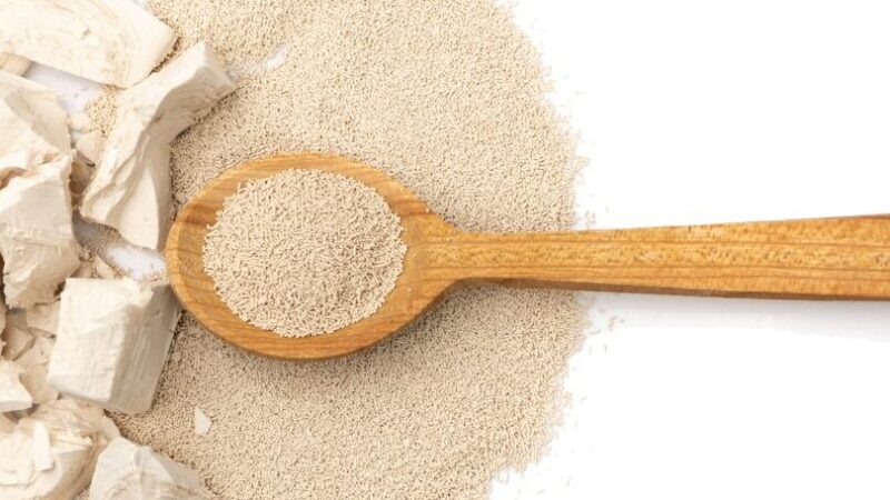 Levure instantanée utilisation : Astuces pour des recettes réussies !