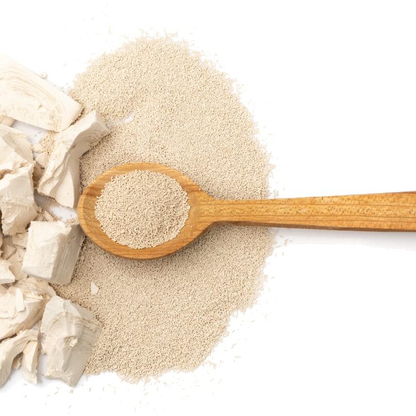 Levure instantanée utilisation : Astuces pour des recettes réussies !