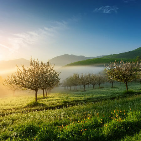 Motoculteur Utilisation : Maximisez votre jardinage facilement !
