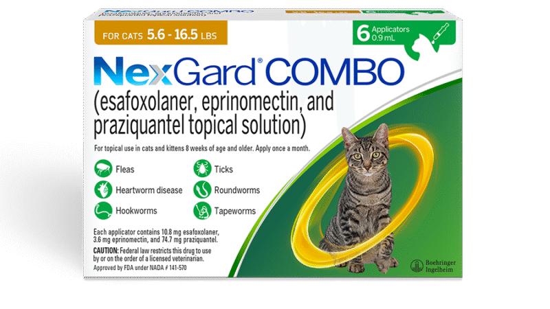 Nexgard Combo Chat : Comment utiliser efficacement ce produit ?