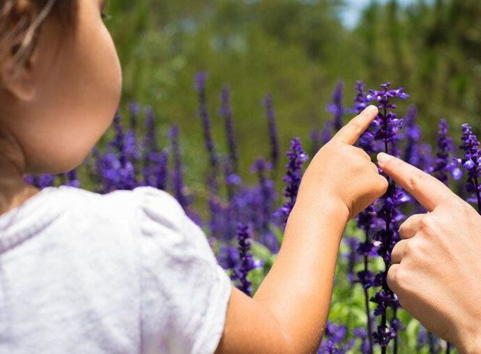 Peut-on utiliser des huiles essentielles périmées en toute sécurité ?