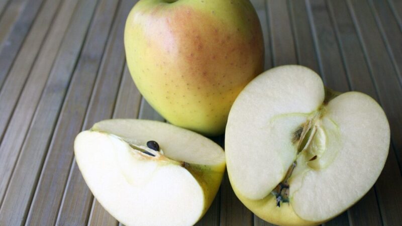 Pomme Chanteclerc Utilisation : Découvrez ses Secrets et Avantages!