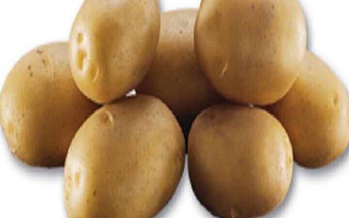 Pomme de terre Agata pour quelle utilisation ? Découvrez ses atouts !