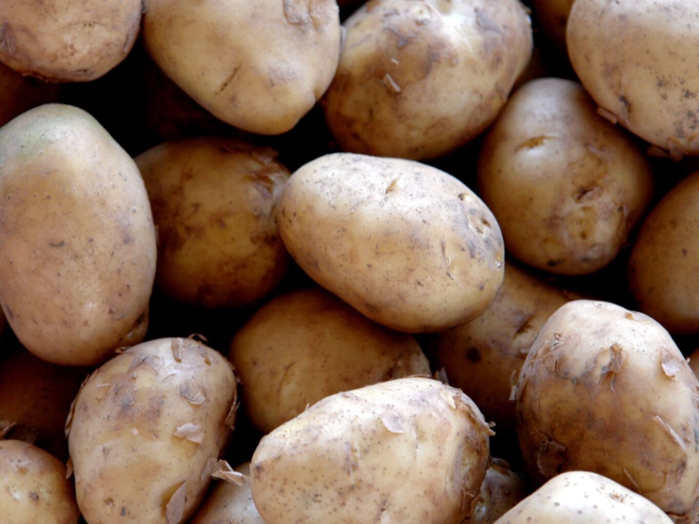Pomme de terre Agata : Utilisation idéale pour vos plats savoureux