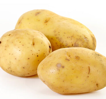 Pomme de terre agria utilisation : Découvrez ses multiples atouts !