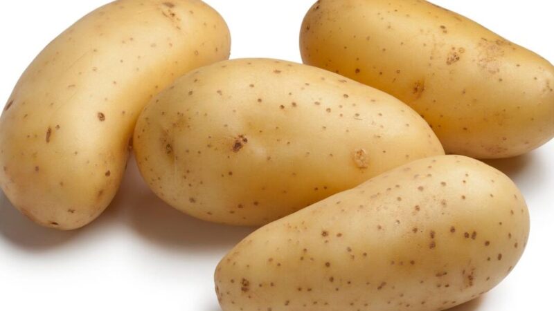 Pomme de terre Amandine utilisation : des recettes savoureuses et astucieuses !