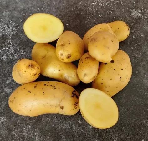 Pomme de terre Belle de Fontenay : Utilisation et Recettes Essentielles