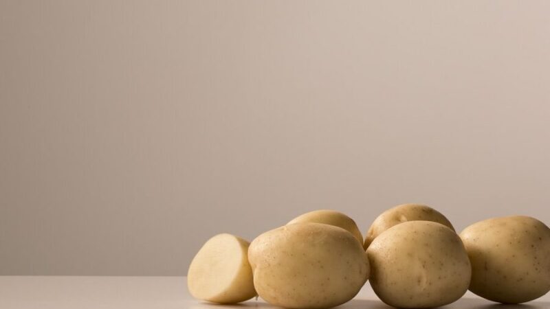 Pomme de terre blanche utilisation : Découvrez ses multiples bienfaits !