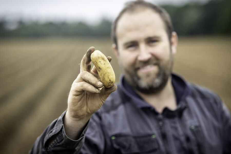 Pomme de terre celtiane utilisation : astuces et recettes incontournables