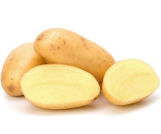 Pomme de terre charlotte utilisation : Recettes savoureuses et pratiques