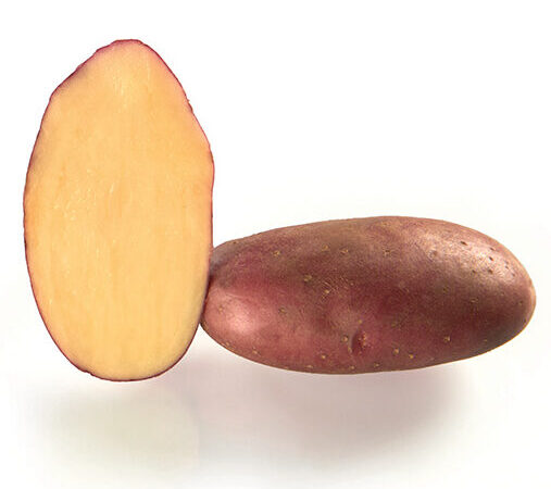 Pomme de terre chérie utilisation : 10 idées gourmandes à découvrir