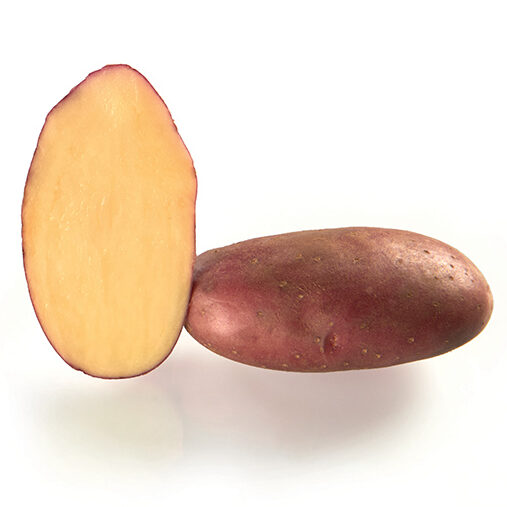 Pomme de terre chérie utilisation : 10 idées gourmandes à découvrir