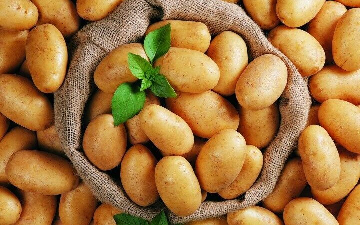 Pomme de terre Lady Christl : Utilisation frites délicieuses et faciles