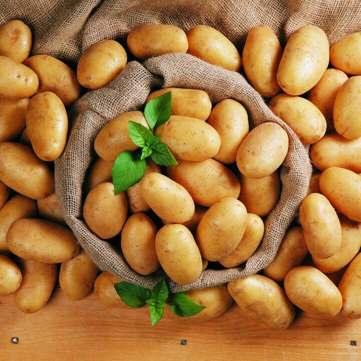 Pomme de terre Lady Christl : Utilisation frites délicieuses et faciles
