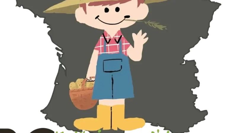 Pomme de terre Monique utilisation : Découvrez ses multiples avantages !