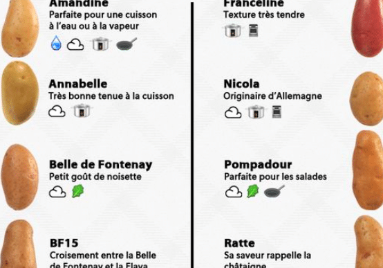 Pomme de terre noblesse utilisation : Découvrez ses multiples atouts !