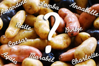 Pomme de terre sunita utilisation : Guide pratique et savoureux