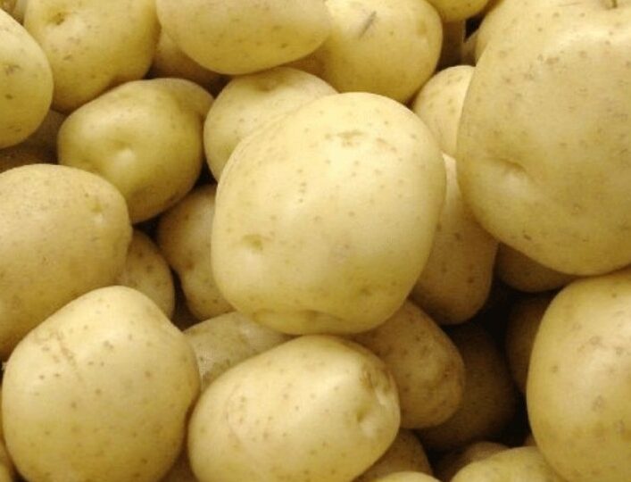Pommes de terre Agata utilisation : recettes, conseils et astuces !