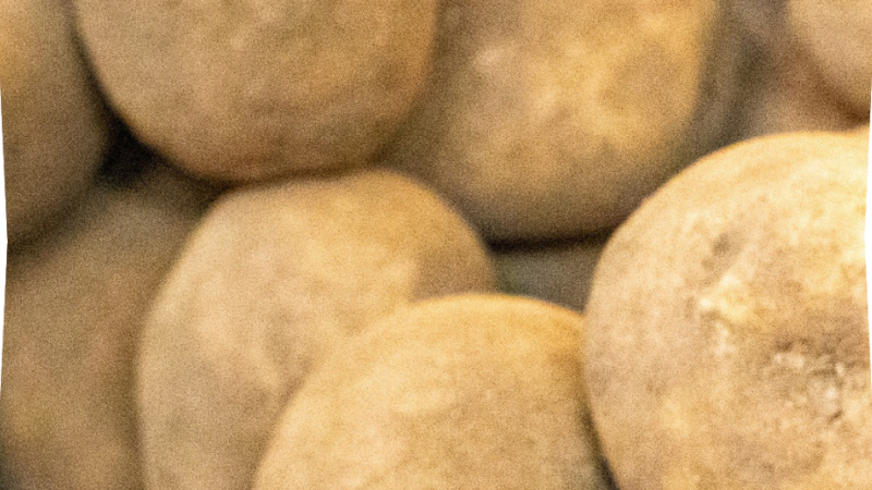 Pommes de terre agria utilisation : Astuces pour des plats savoureux!