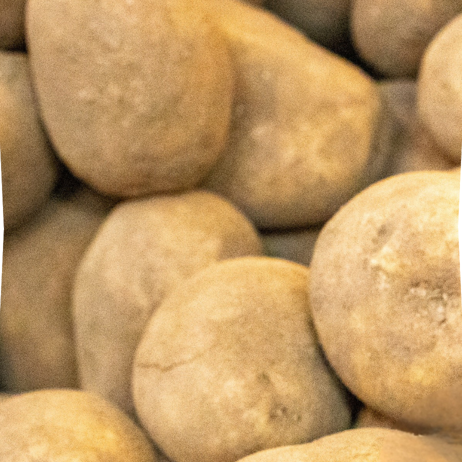 Pommes de terre agria utilisation : Astuces pour des plats savoureux!