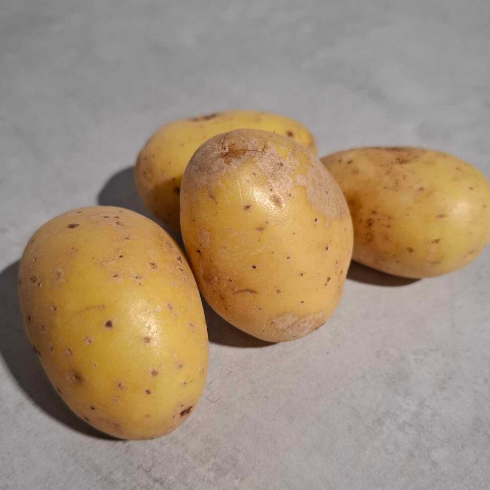Pommes de terre Bernadette utilisation : Les meilleures recettes et astuces !