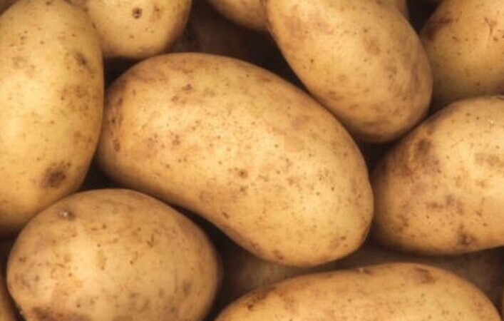 Pommes de terre Charlotte utilisation : Guide pratique et astuces essentielles