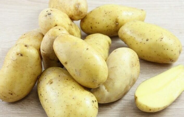 Pommes de terre gourmandine utilisation : Ideas savoureuses à découvrir !