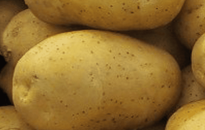 Pommes de terre Marabel utilisation : découvrez ses atouts incontournables
