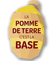 Pommes de terre Orchestra utilisation : Découvrez ses avantages!