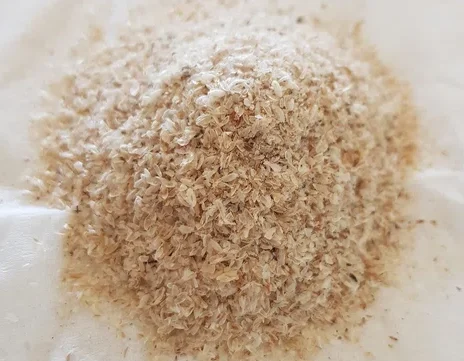 Psyllium Utilisation Cuisine : Découvrez ses Bienfaits Incontournables !