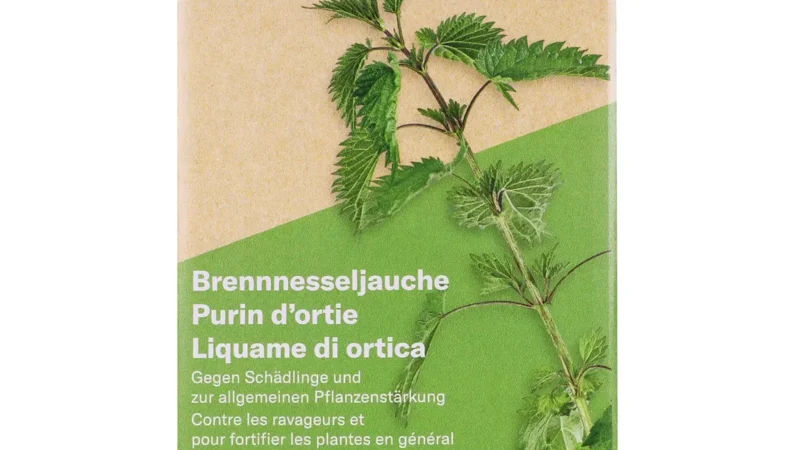 Purin d&rsquo;ortie utilisation : Le guide complet pour vos plantes