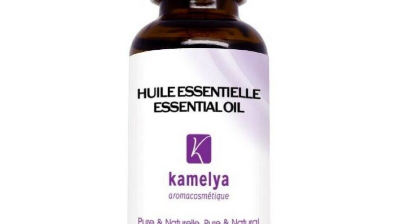 Sauge Officinale Utilisation : Découvrez ses Bienfaits Inattendus!