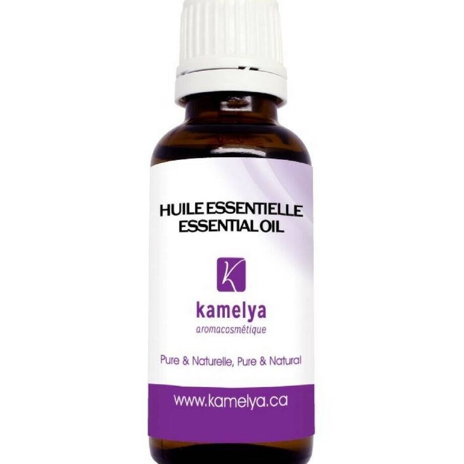 Sauge Officinale Utilisation : Découvrez ses Bienfaits Inattendus!