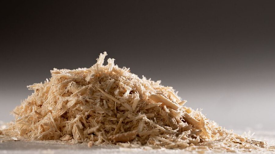 Sciure de bois utilisation : Découvrez ses incroyables bénéfices !