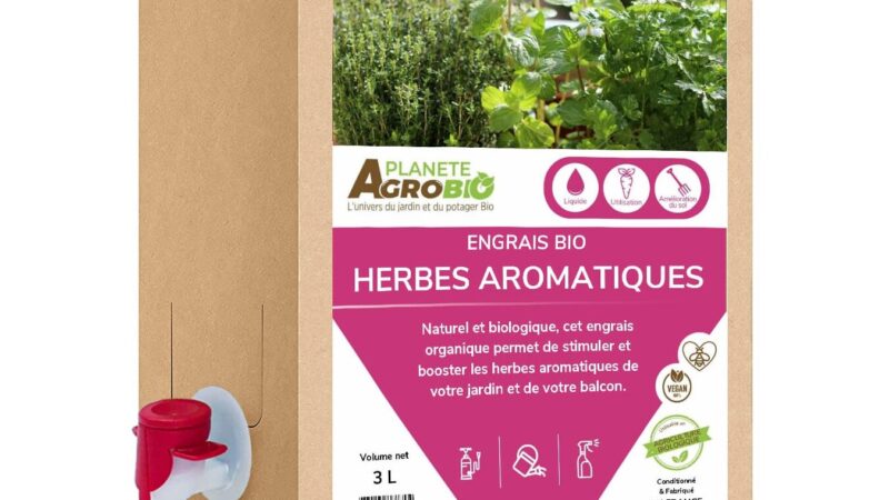 Tableau utilisation herbes aromatiques : Boostez vos plats facilement !