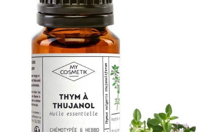 Thym à Thujanol Utilisation : Découvrez ses Bienfaits Essentiels !