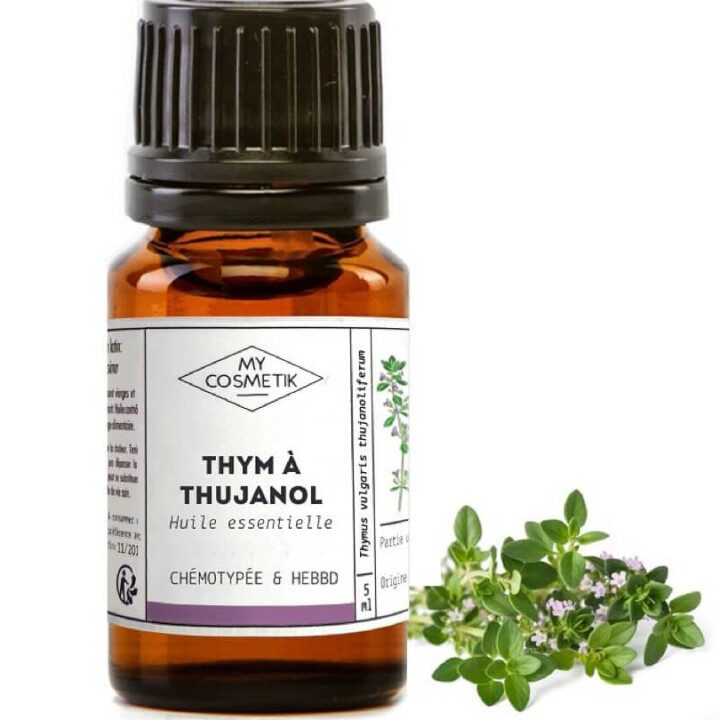 Thym à Thujanol Utilisation : Découvrez ses Bienfaits Essentiels !