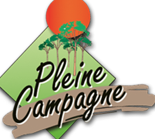 Universa Pomme de Terre Utilisation : Transformez Votre Cuisine !