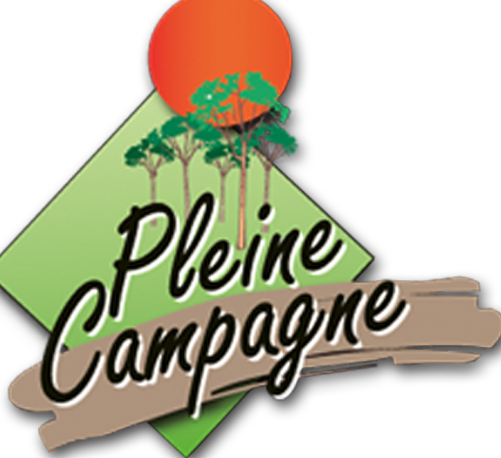 Universa Pomme de Terre Utilisation : Transformez Votre Cuisine !