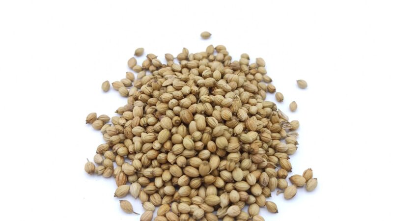 Utilisation de la graine de nigelle : Secrets et Bienfaits révélés