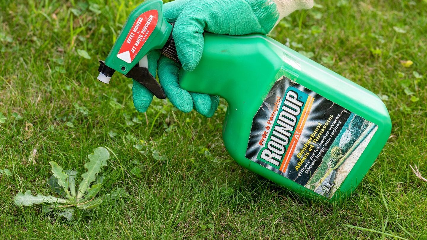 Utilisation du glyphosate : Guide pratique pour une application efficace