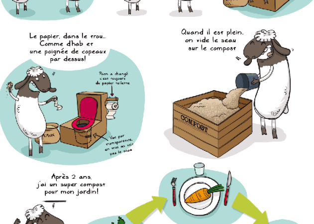 Utilisation Toilette Sèche : Guide Pratique et Efficace pour Tous