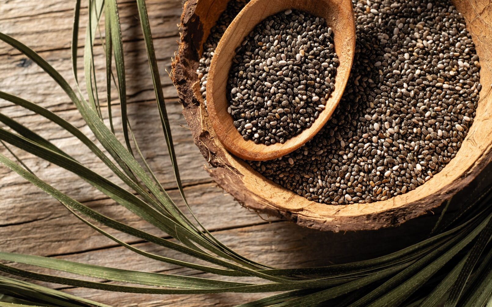 Utiliser graine de chia : Bienfaits et recettes incontournables !