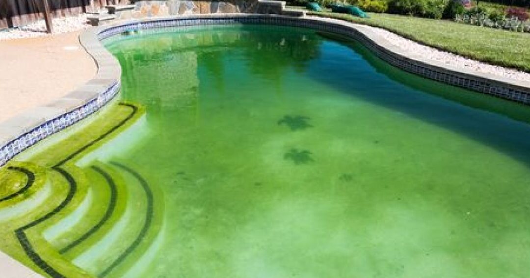 Utiliser Karcher sous l&rsquo;eau : Guide pour un nettoyage efficace