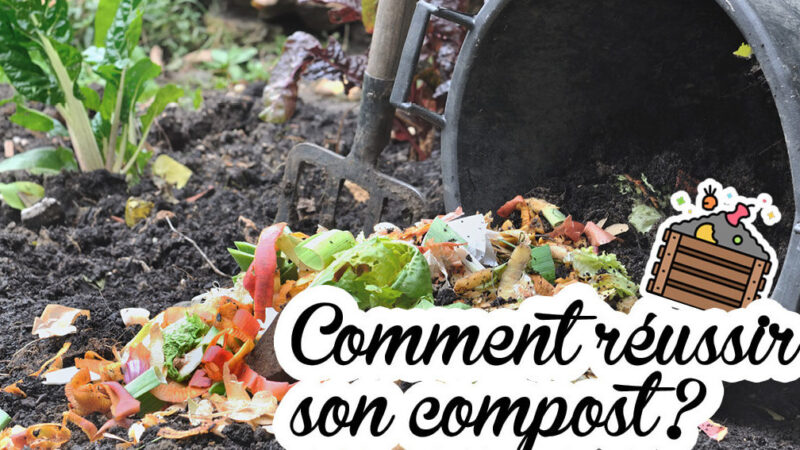 Utiliser le compost : Transformez vos déchets en fertilisant naturel !